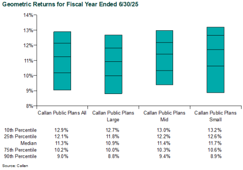Public DB Plan Fiscal Year Returns 1H25 public db plan returns 1h25