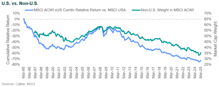 U.S. v Non U.S. market cap weight